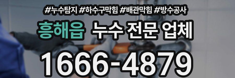 흥해읍 누수 전문 업체