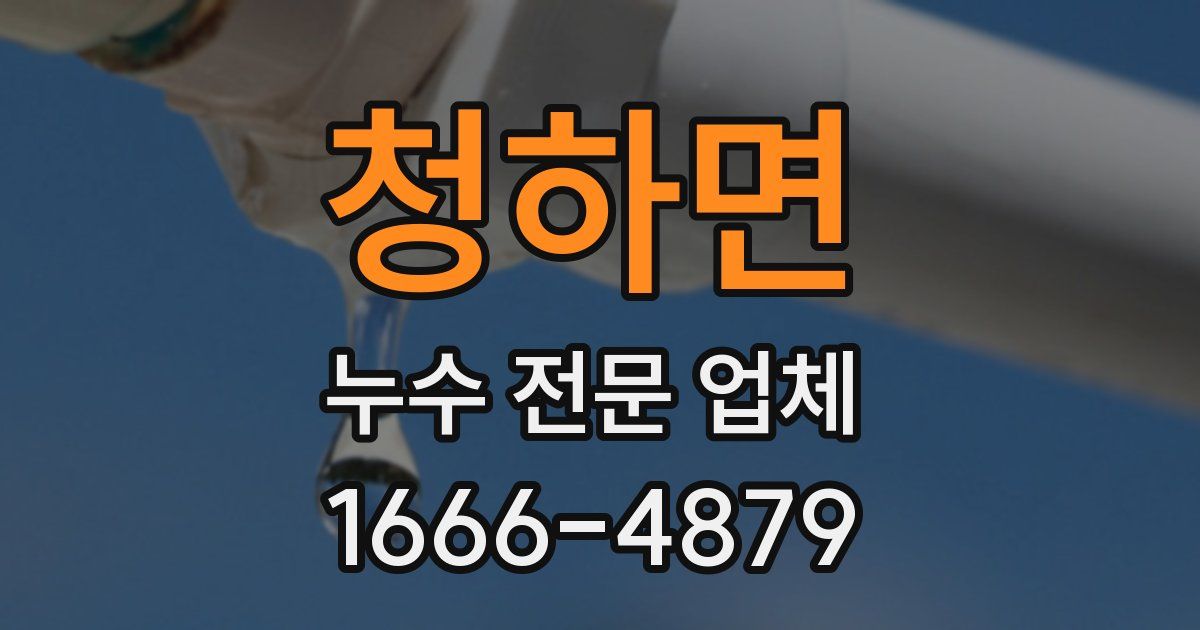 청하면 누수 전문 업체