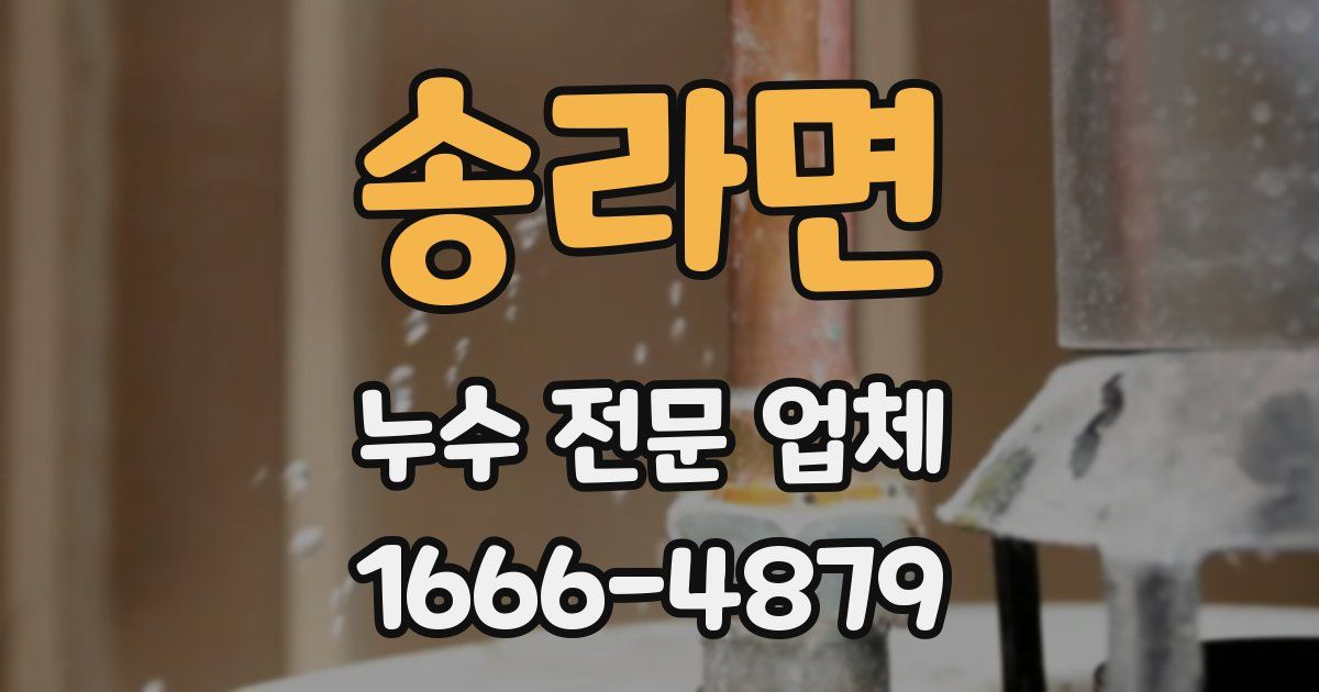 송라면 누수 전문 업체