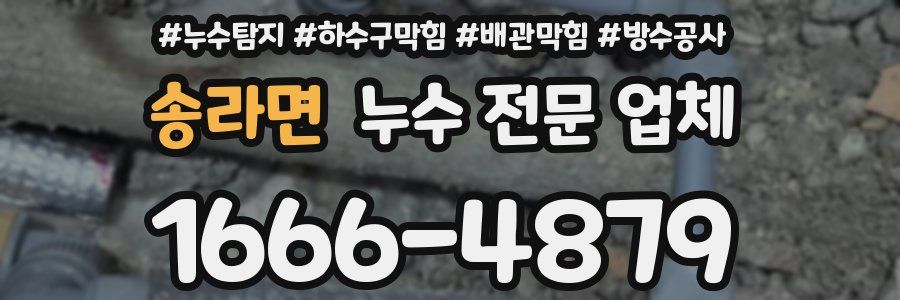 송라면 누수 전문 업체