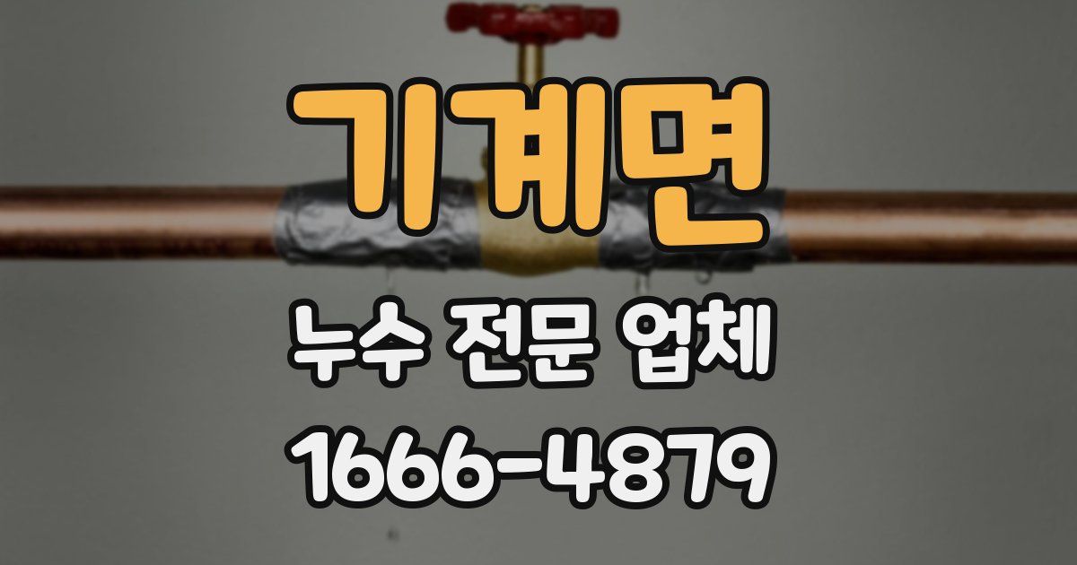 기계면 누수 전문 업체