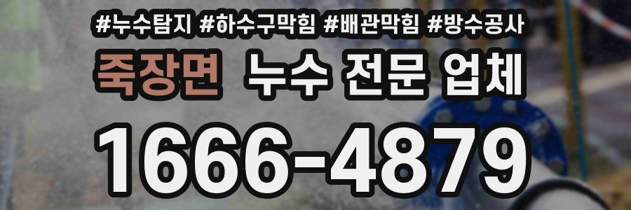 죽장면 누수 전문 업체