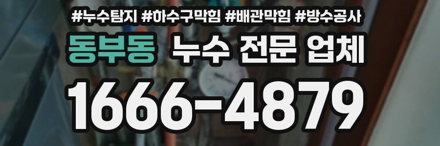 동부동 누수 전문 업체