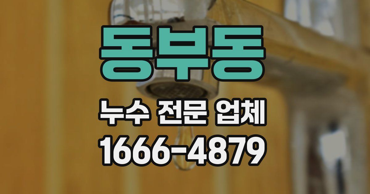 동부동 누수 전문 업체