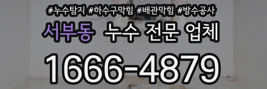 서부동 누수 전문 업체