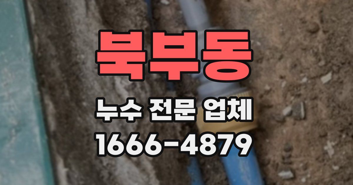 북부동 누수 전문 업체
