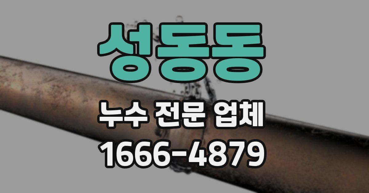 성동동 누수 전문 업체