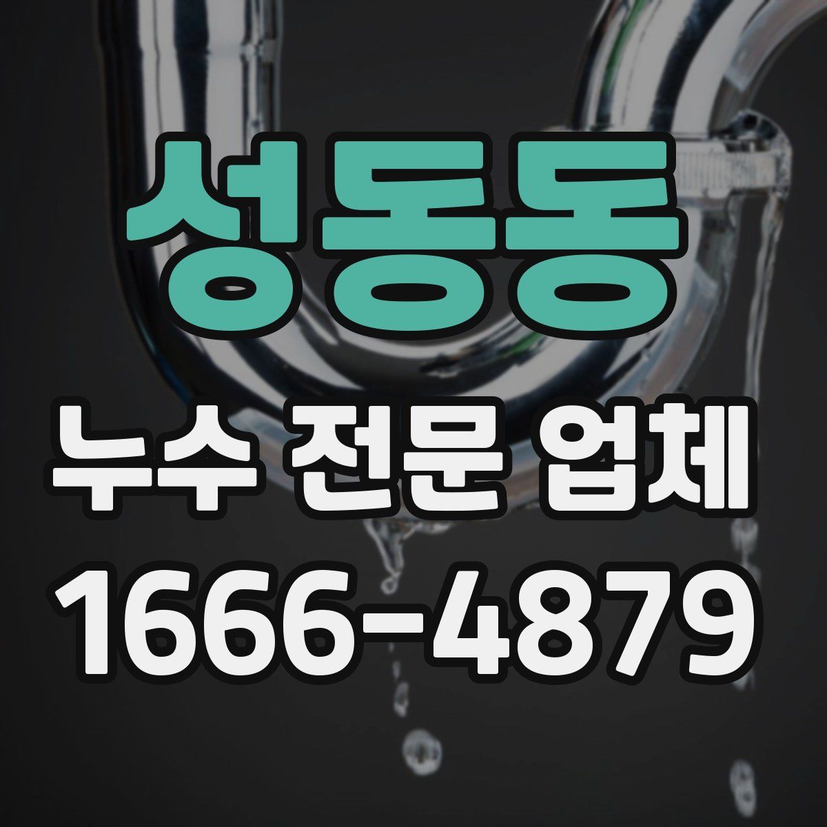 성동동 누수 전문 업체