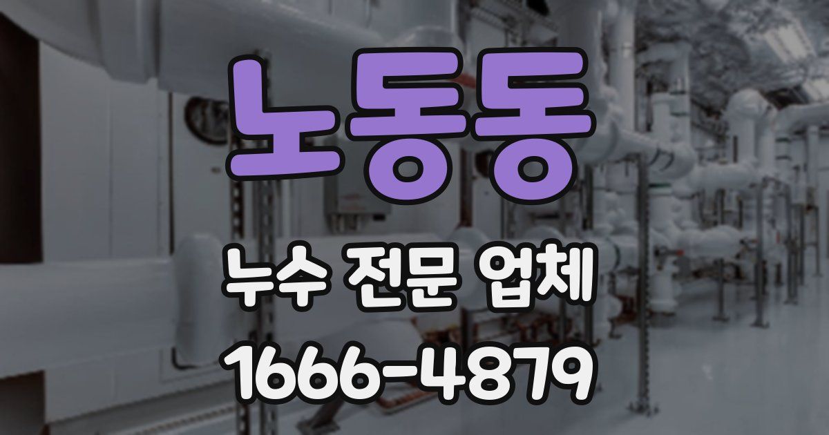 노동동 누수 전문 업체