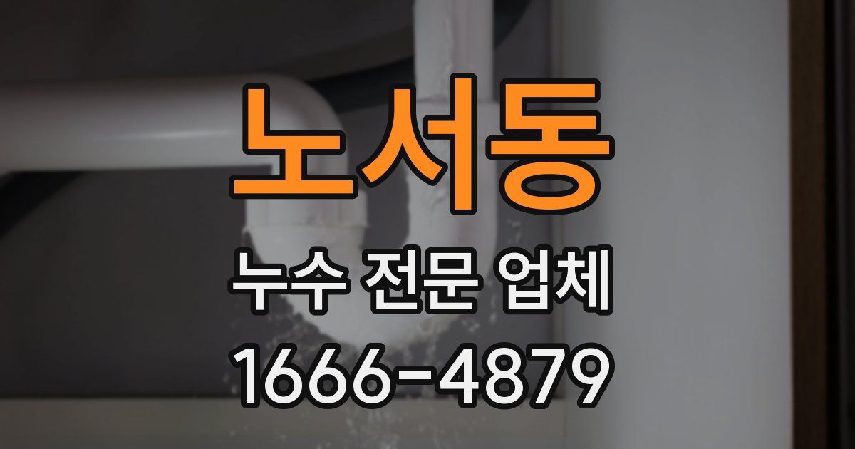 노서동 누수 전문 업체