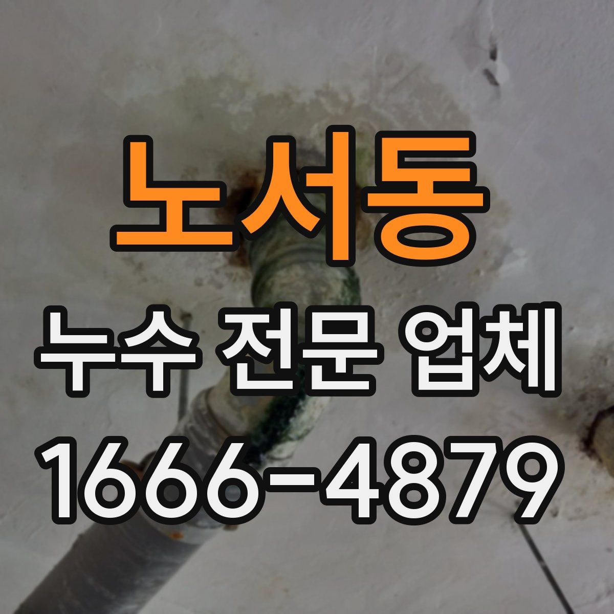노서동 누수 전문 업체