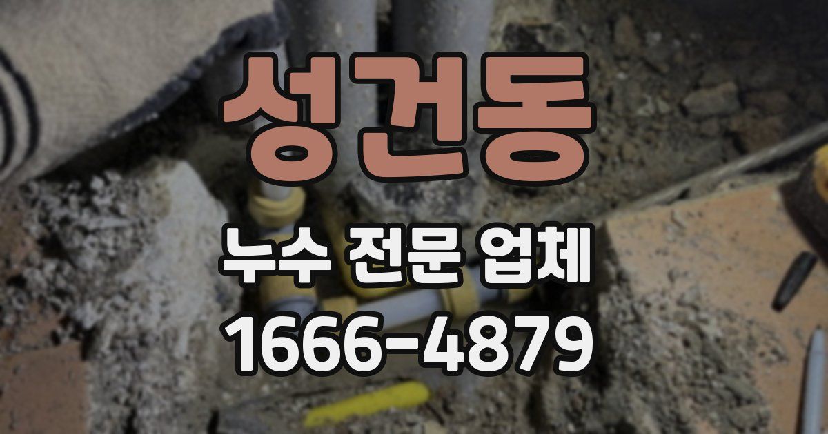 성건동 누수 전문 업체