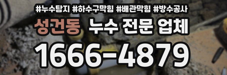 성건동 누수 전문 업체