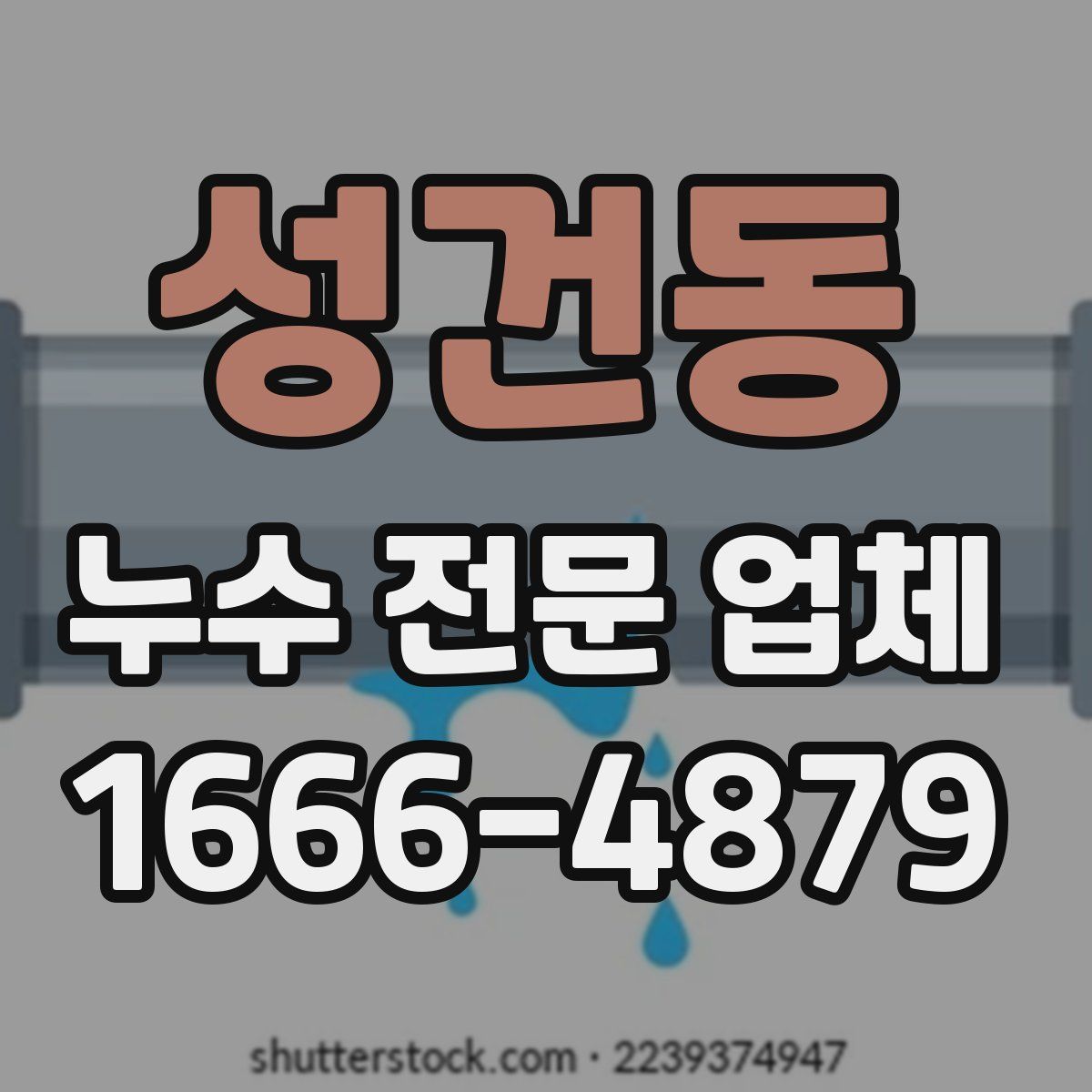 성건동 누수 전문 업체