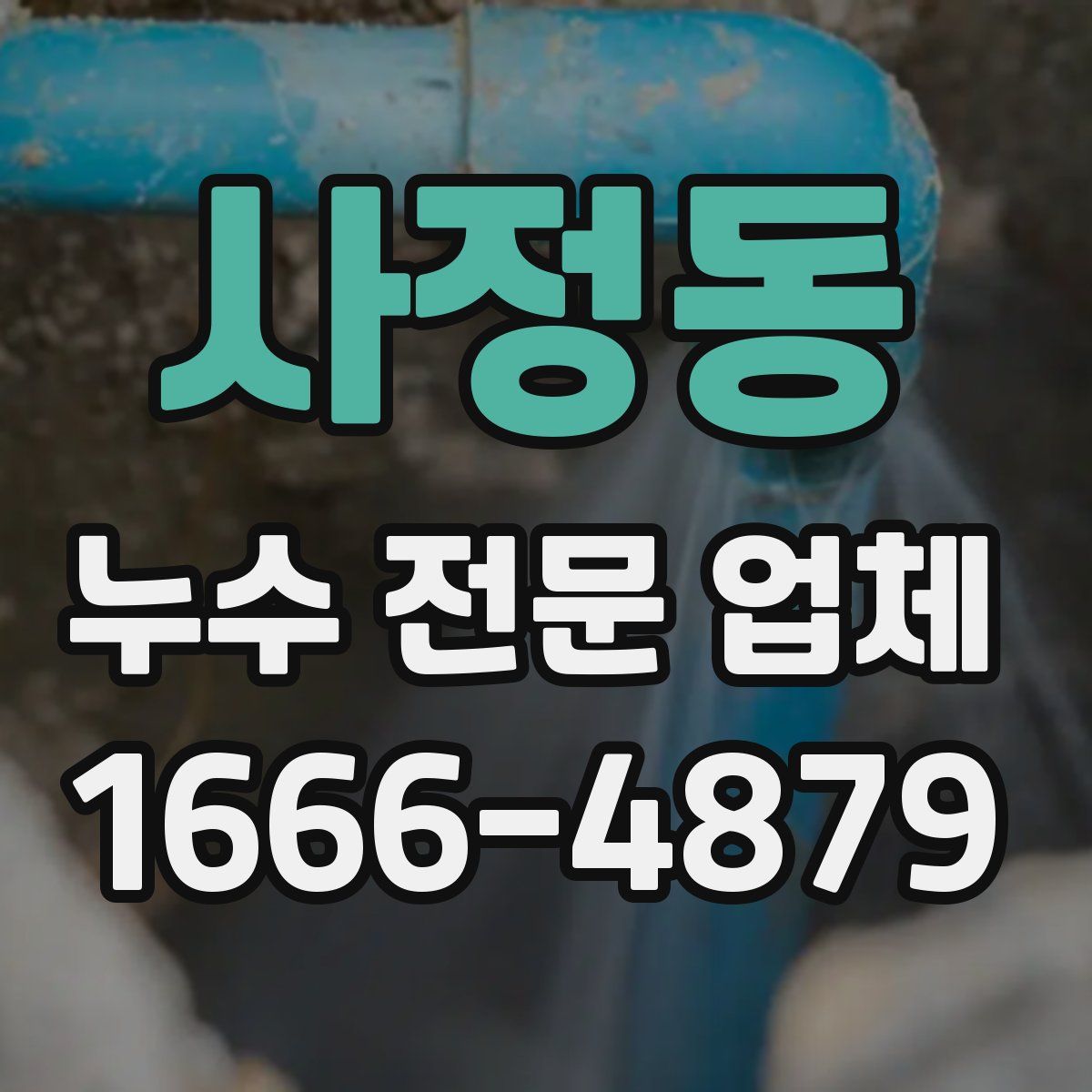 사정동 누수 전문 업체