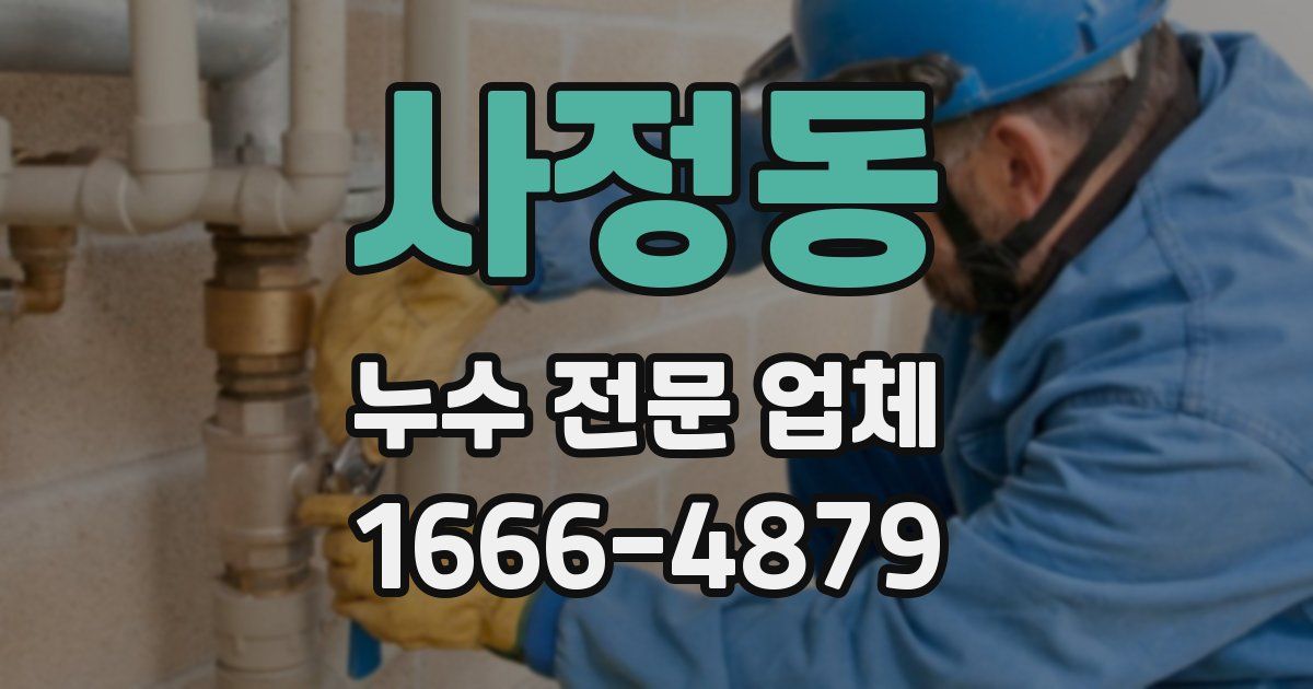 사정동 누수 전문 업체