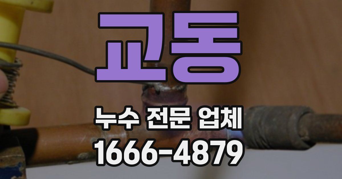 교동 누수 전문 업체