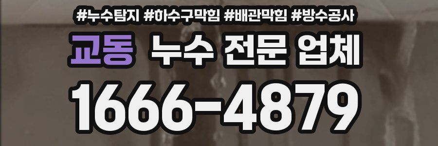 교동 누수 전문 업체