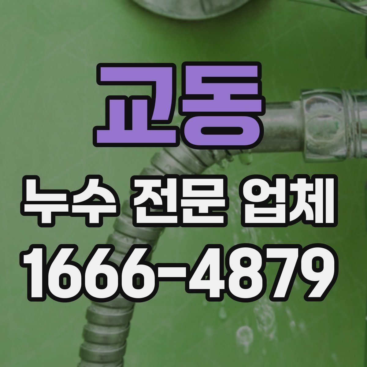 교동 누수 전문 업체