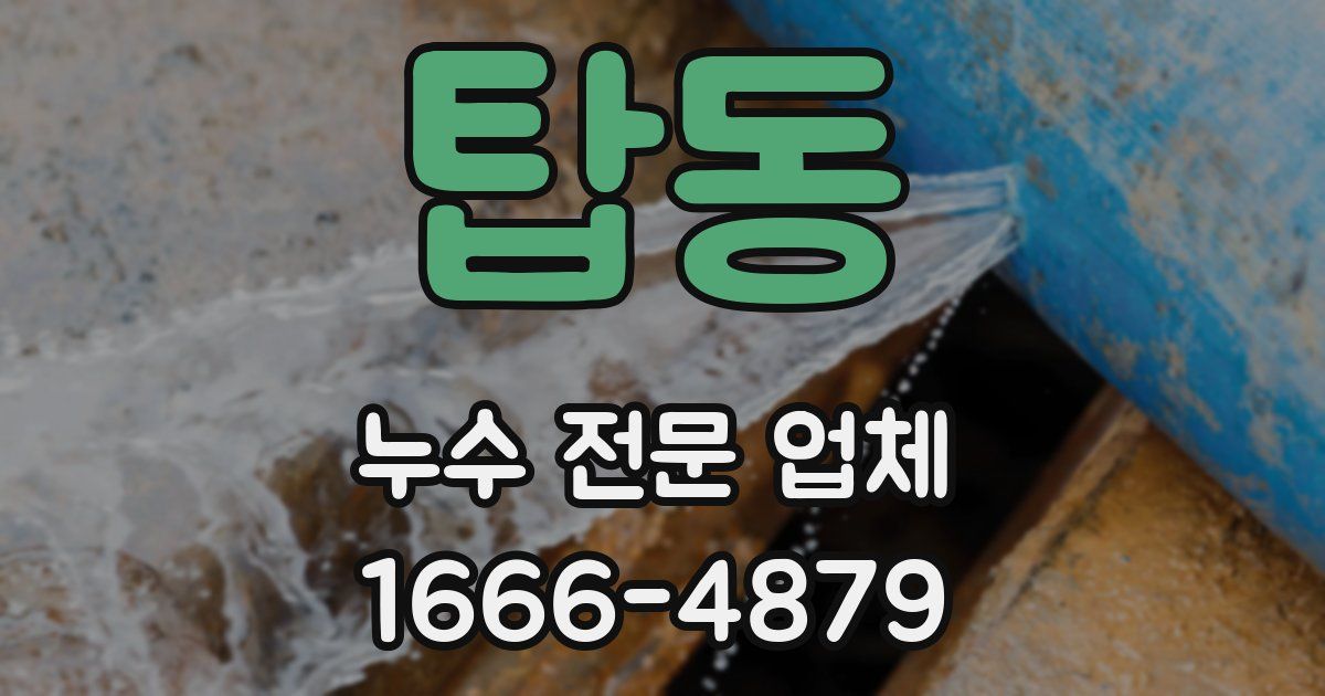 탑동 누수 전문 업체