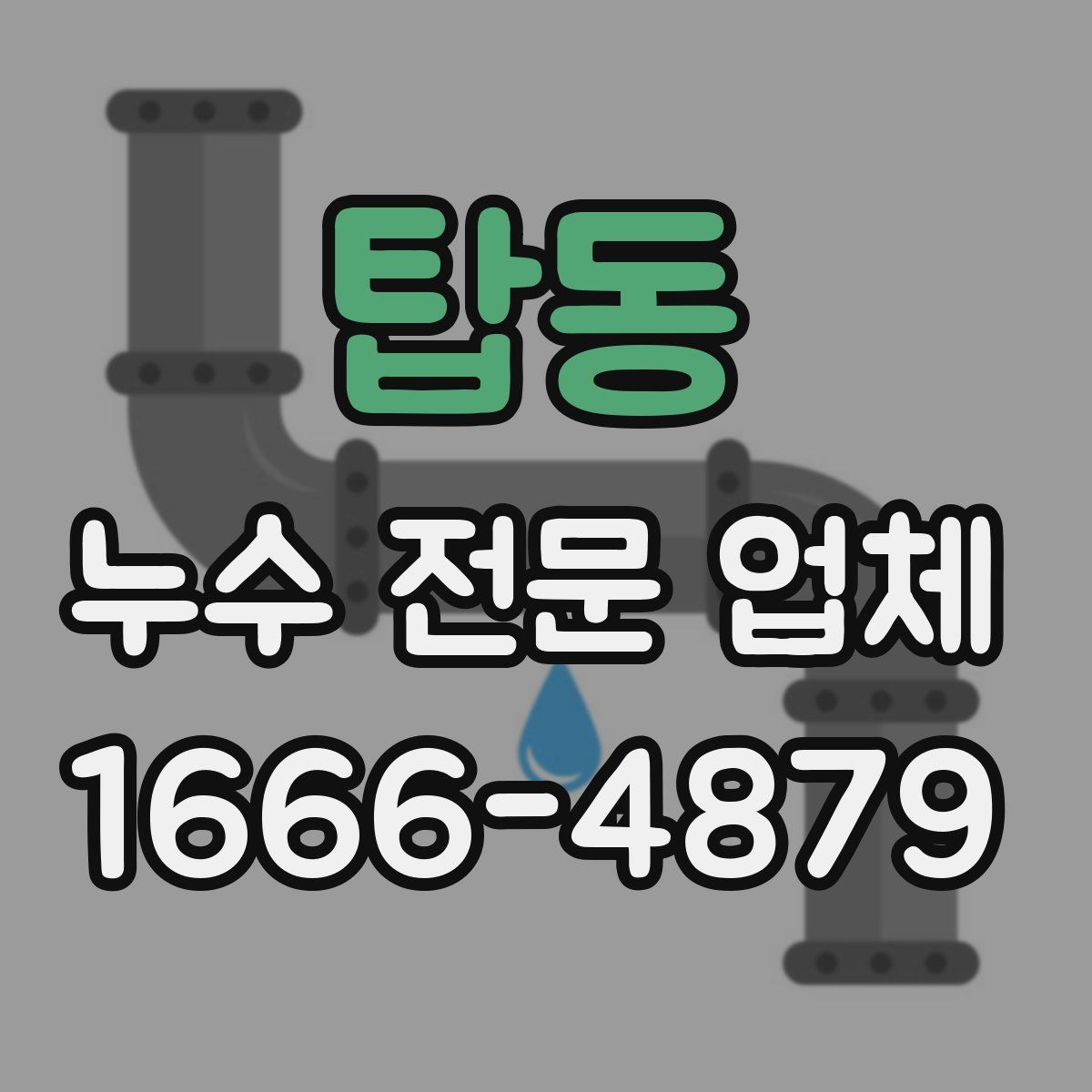 탑동 누수 전문 업체