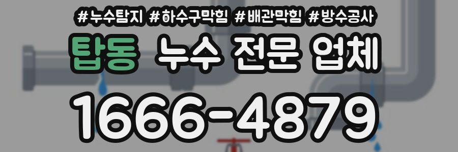 탑동 누수 전문 업체
