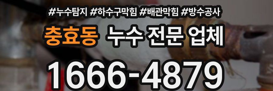 충효동 누수 전문 업체