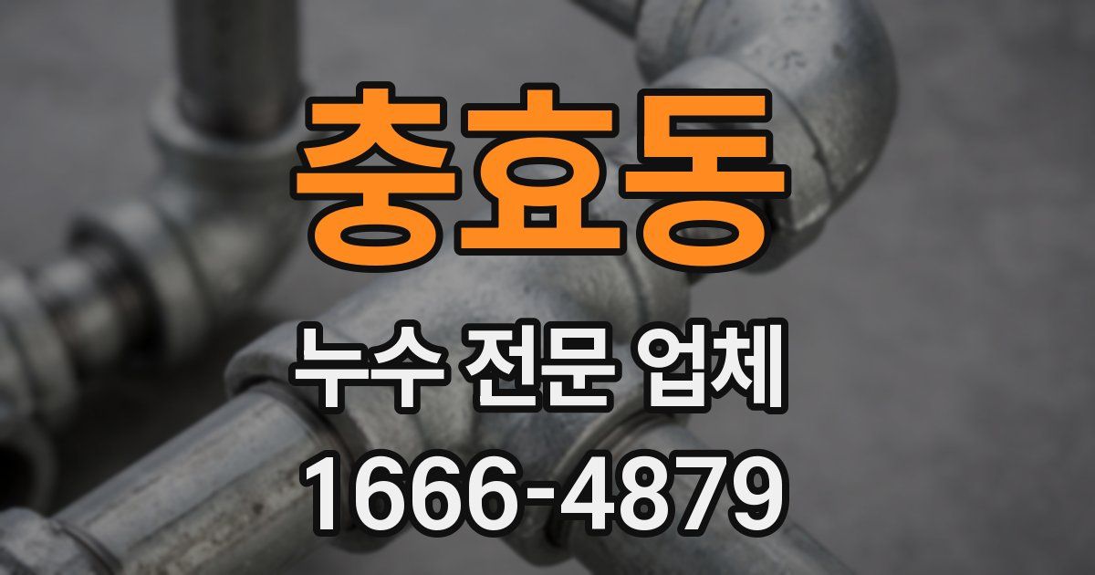 충효동 누수 전문 업체