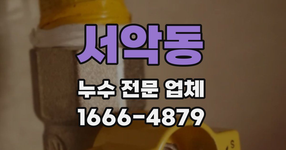 서악동 누수 전문 업체