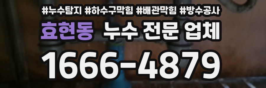 효현동 누수 전문 업체