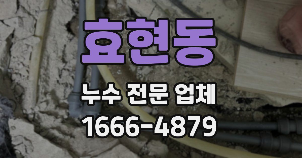 효현동 누수 전문 업체