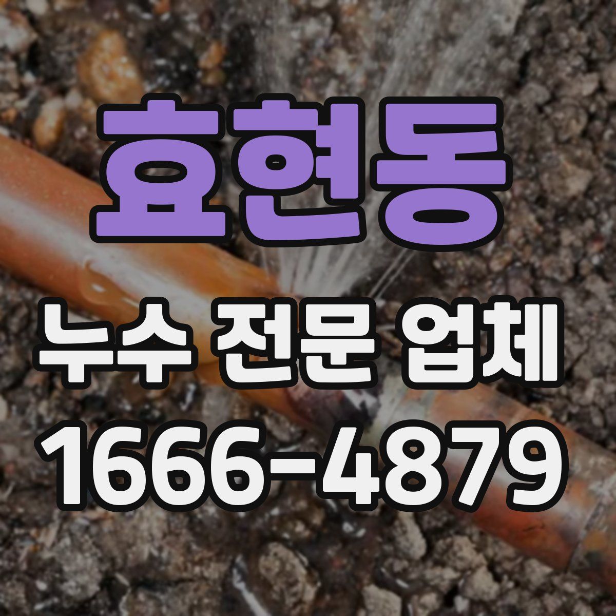 효현동 누수 전문 업체
