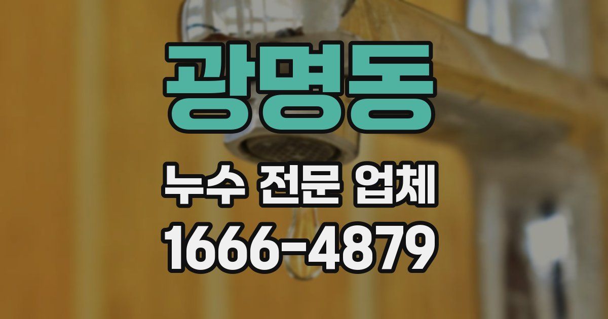 광명동 누수 전문 업체