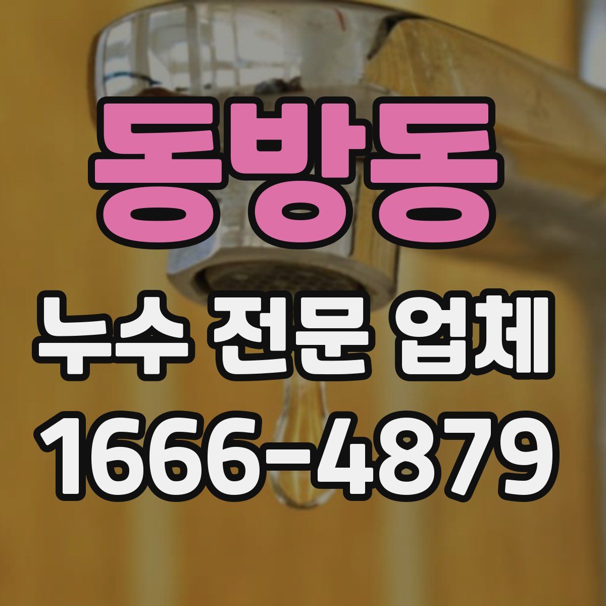 동방동 누수 전문 업체