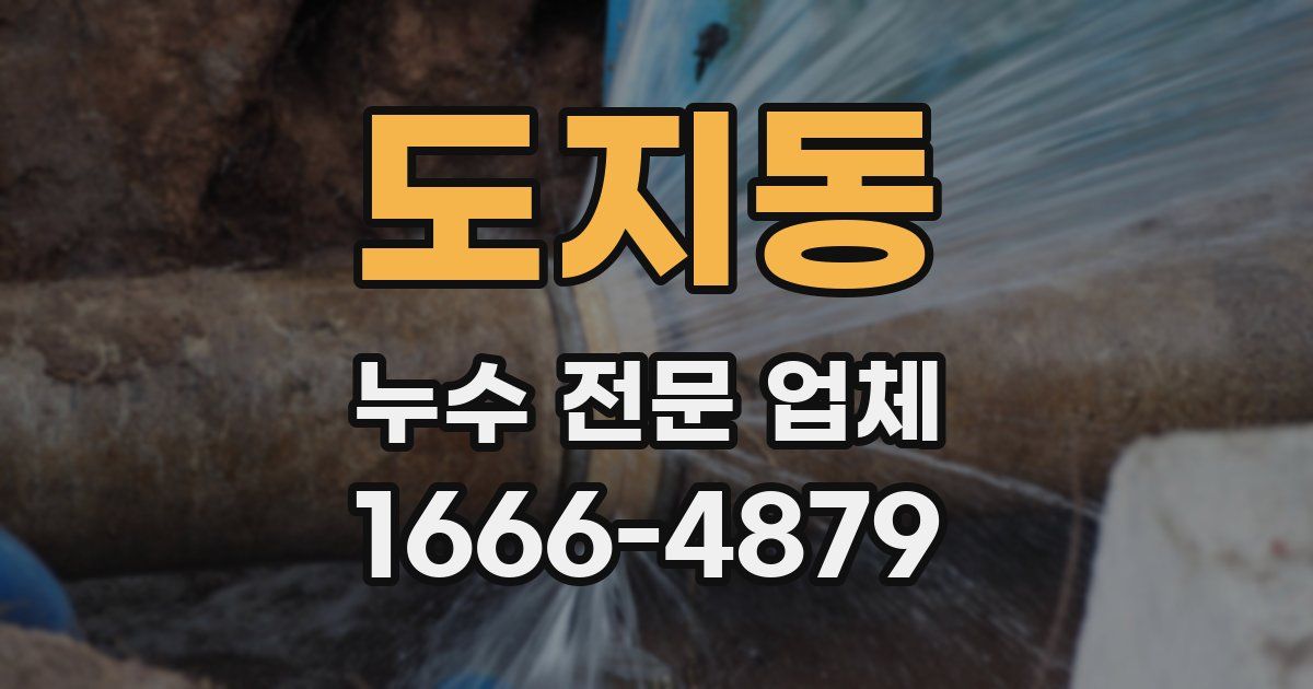 도지동 누수 전문 업체
