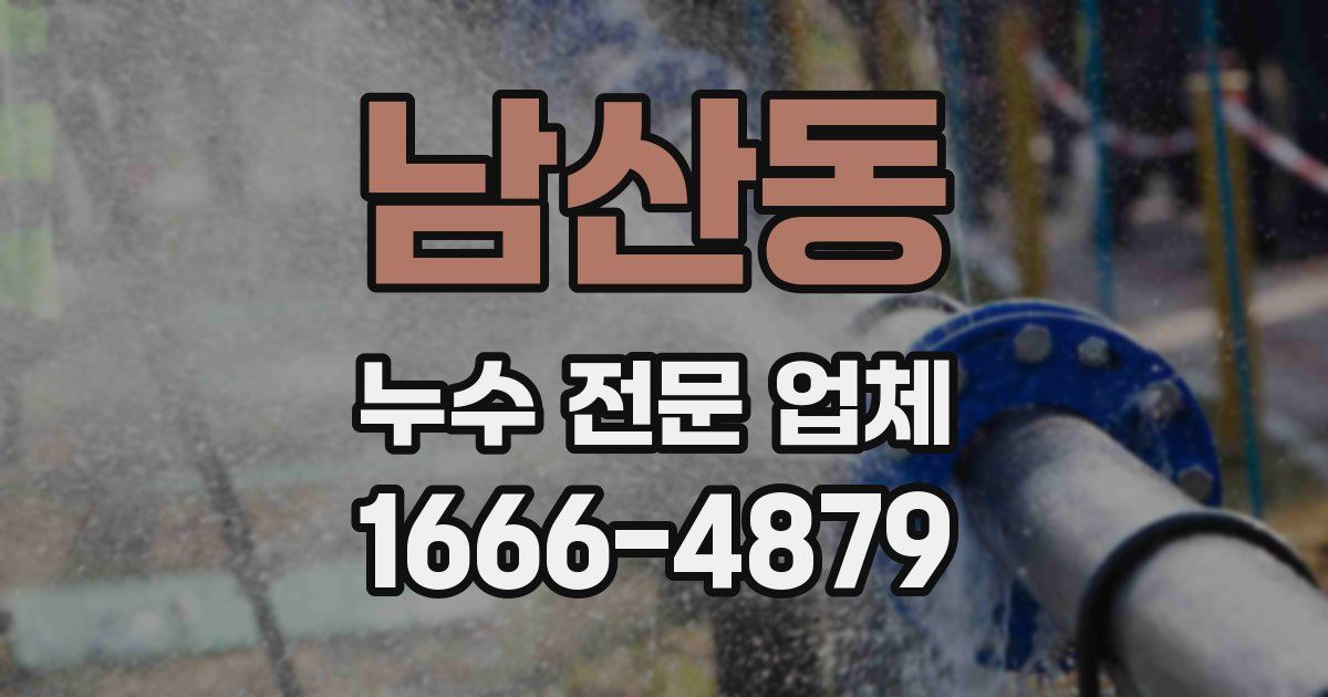 남산동 누수 전문 업체
