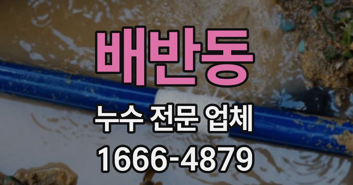 배반동 누수 전문 업체