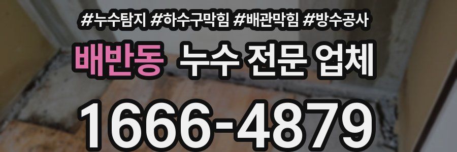 배반동 누수 전문 업체