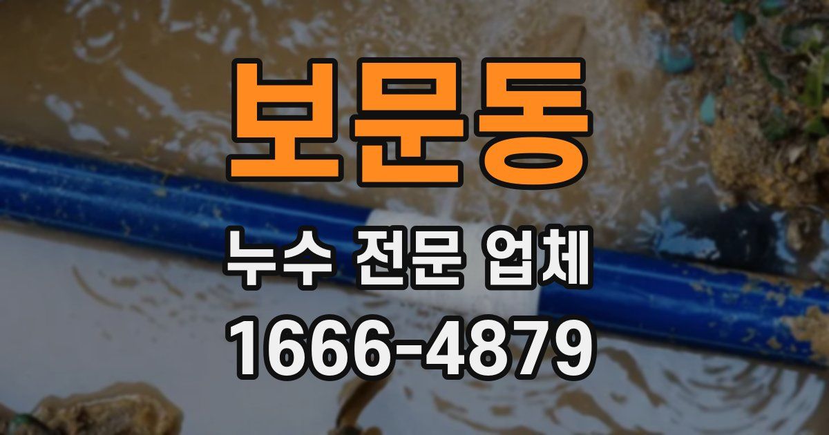 보문동 누수 전문 업체