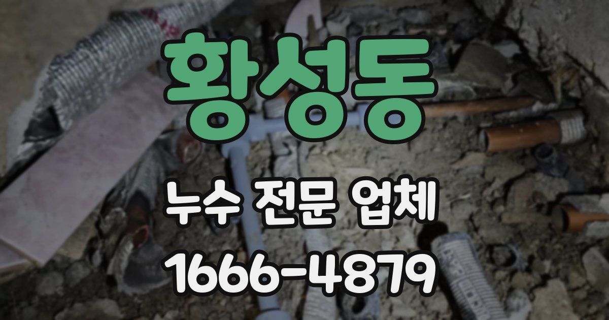 황성동 누수 전문 업체