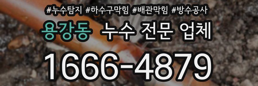 용강동 누수 전문 업체