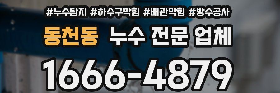 동천동 누수 전문 업체