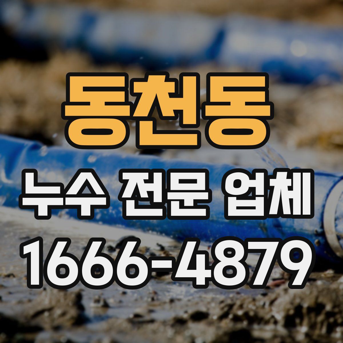 동천동 누수 전문 업체