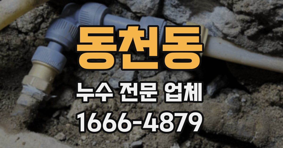 동천동 누수 전문 업체