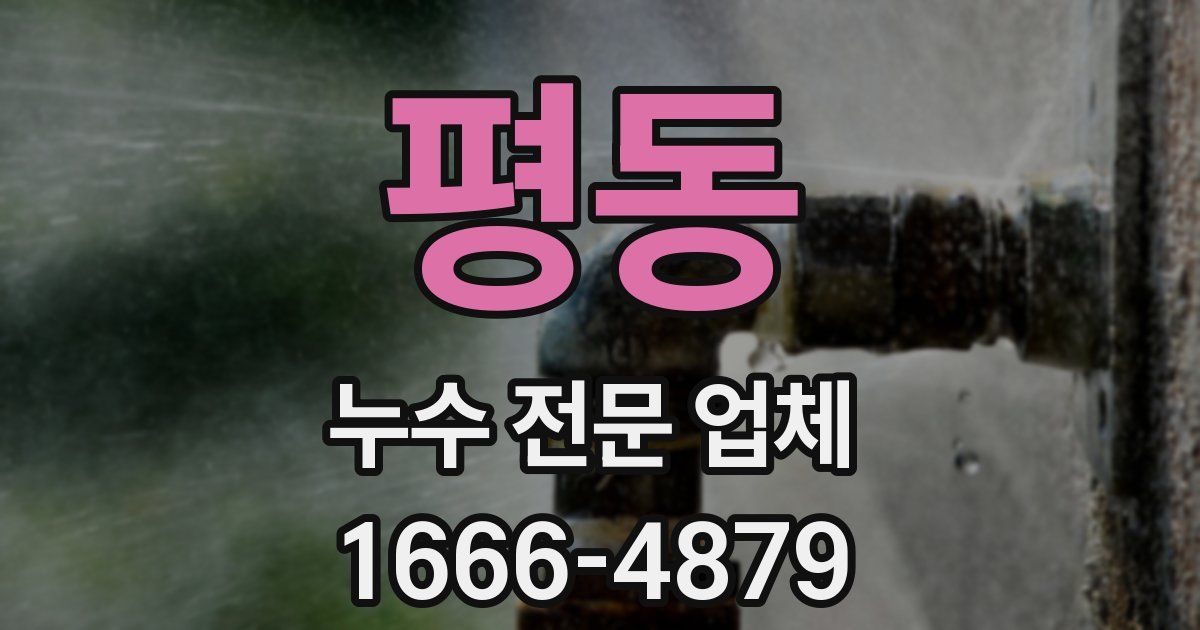 평동 누수 전문 업체