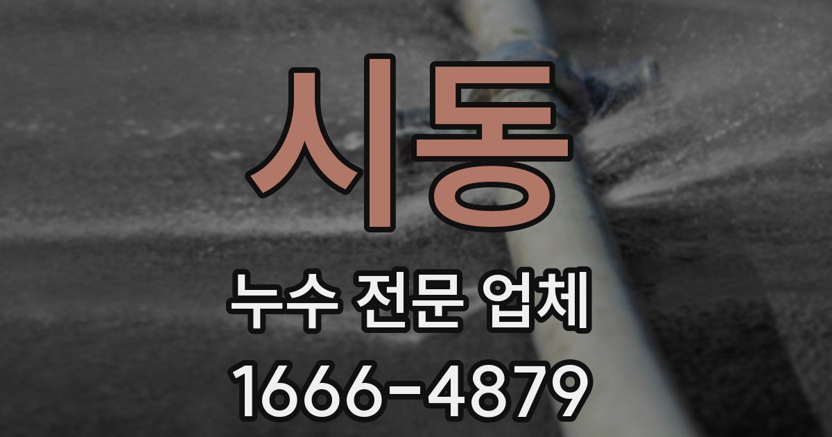 시동 누수 전문 업체
