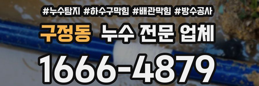 구정동 누수 전문 업체