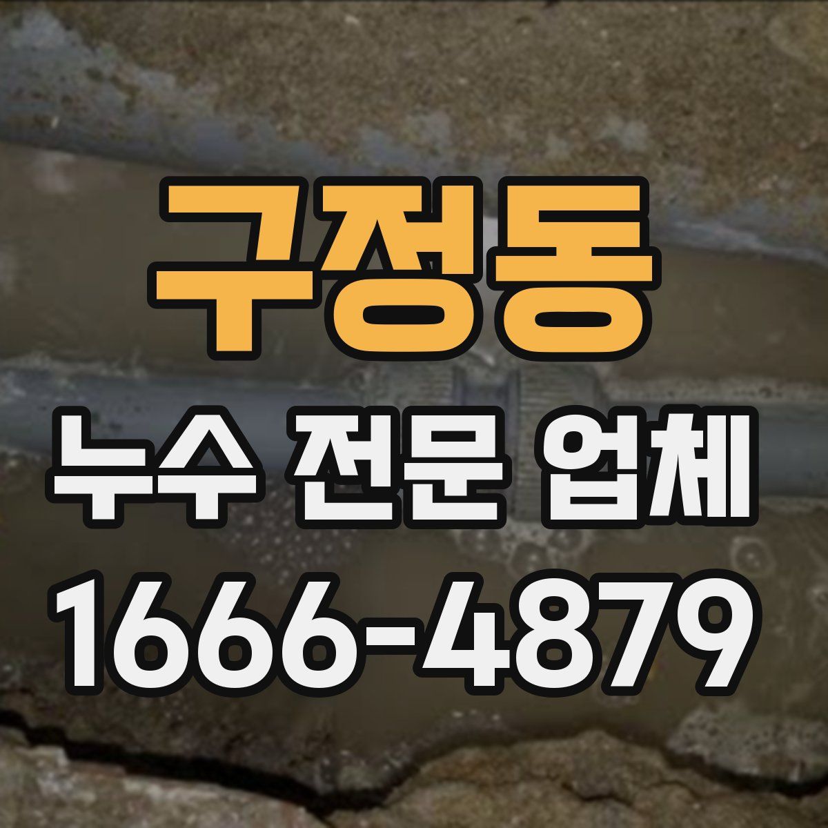 구정동 누수 전문 업체
