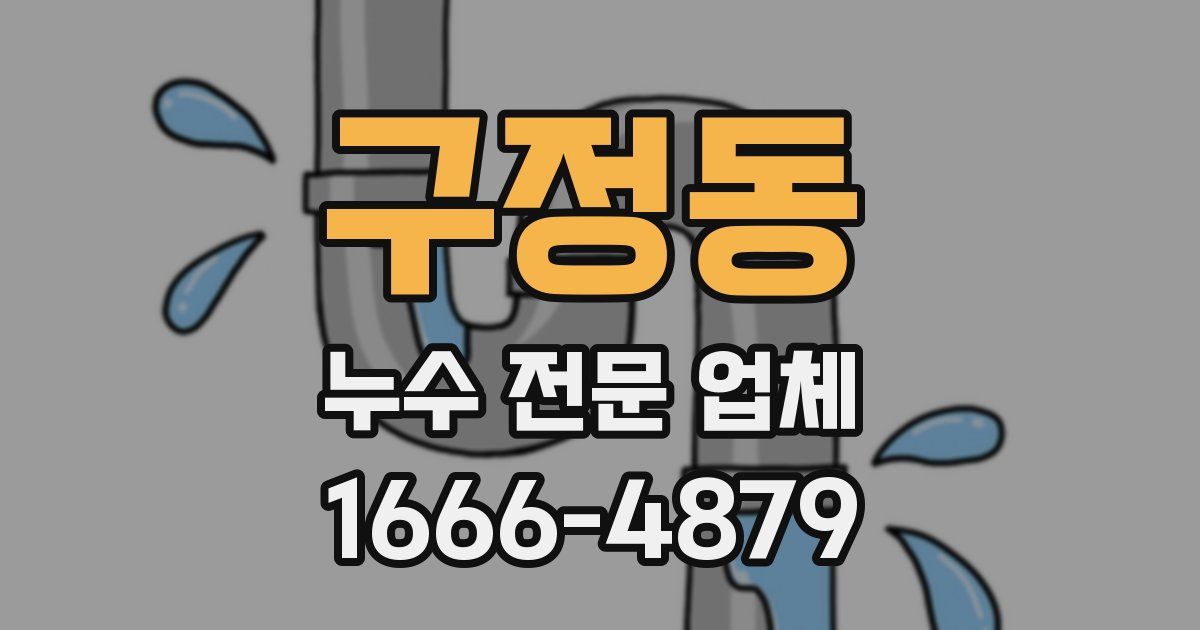 구정동 누수 전문 업체