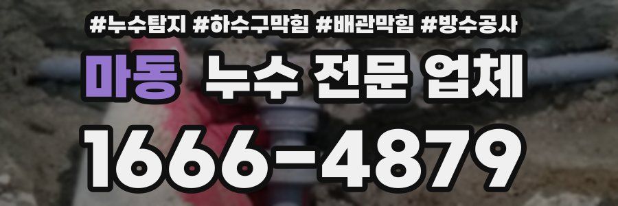 마동 누수 전문 업체